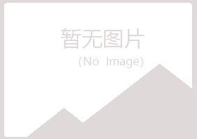 桃山区埋没出版有限公司